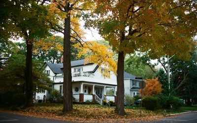 Renting a Home vs. Apartment in St. Louis: Which Is Right for You?